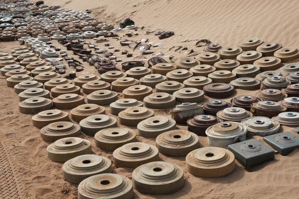 "مسام" ينزع 1.590 لغمًا من مختلف الأراضي اليمنية خلال أسبوع