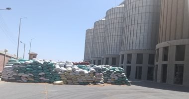 تموين أسيوط: أرقام توريد القمح مبشرة واستلمنا 237 ألفا و344 طنا
