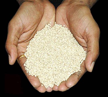 السودان : بعد تراجع اسعارها في الأسواق المحلية… الحرب على إيران تهدد المحاصيل الزراعية
