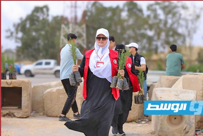غرس 1077 شجرة صنوبر في جامعة الزاوية