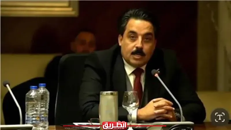 قيادي بحزب الجيل: لقاء السيسي وبن سلمان ارتباط مصيري يُعيد ضبط بوصلة الأمن القومي العربي