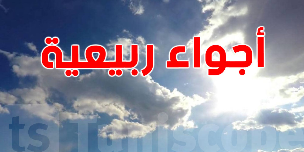 أجواء ربيعية وحرارة تصل إلى 23 درجة… التفاصيل كاملة