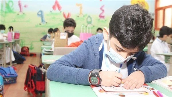 نتيجة الصف الخامس الابتدائي 2026 في الجيزة، خطوات الاستعلام عبر بوابة التعليم الأساسي