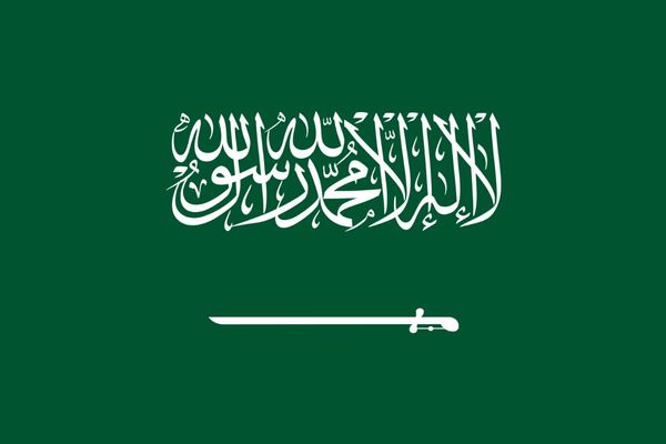 المملكة: نعمل على تعزيز أمن الملاحة البحرية في المنطقة