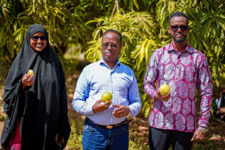 وزير الزراعة يتفقد بعض مزراع مدينة أفغوي