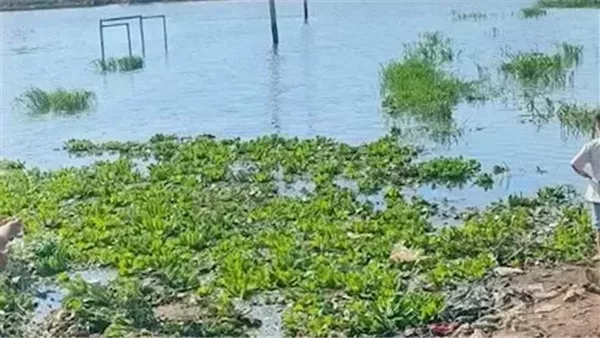 جهود مكثفة لانتشال جثة عامل غرق داخل بركة ري بالفرافرة