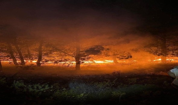 حرائق الغابات تلتهم 11 ألف هكتار في البرتغال والحكومة تطلب دعماً أوروبياً