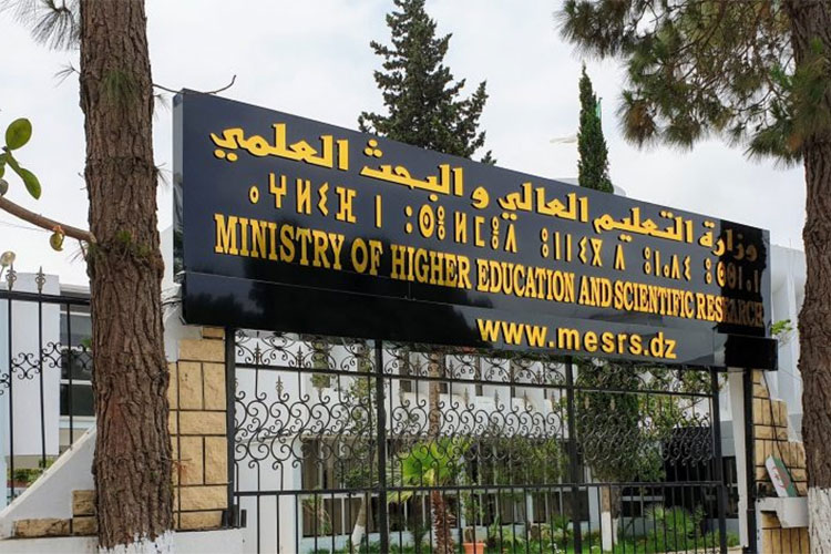 بالأرقام.. هذا ما أنجزته الجامعة الجزائرية في مجال ريادة الأعمال لهذا الموسم