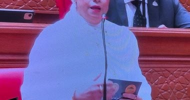 نائبة تزين غطاء رأسها بعلم مصر احتفالا بذكرى ثورة 30 يونيو