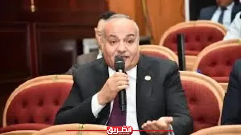 برلماني: اتصال الرئيس السيسي ونظيره الإيراني يؤكد تحركات مصر الحكيمة لخفض التصعيد