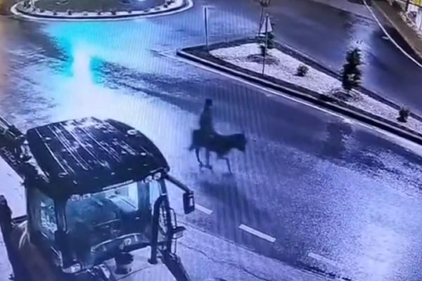 القبض على لص في تركيا سرق متجراً للذهب وهرب على حمار