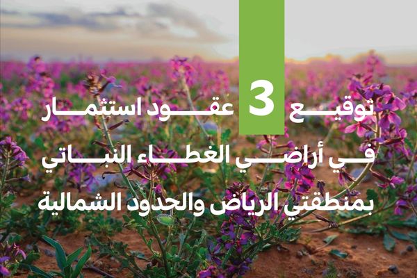"الغطاء النباتي" يوقع عقودًا استثمارية لتطوير 3 متنزهات وطنية