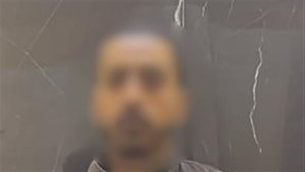 ضبط المتهم بقتل قطة في القليوبية بعد تداول فيديو الواقعة