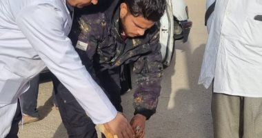 "الطب البيطري بمدينة العاشر": تعقيم وتطعيم 196 كلبا بعدد من المجاورات