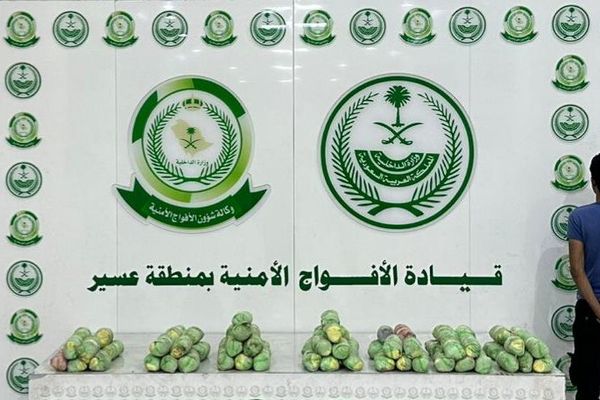القبض على شخص لترويجه (13) كيلو جرامًا من نبات القات المخدر