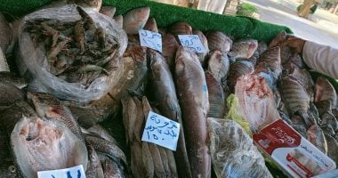 كيلو البلطى بـ 75 جنيه.. أسعار الأسماك بالوادى الجديد اليوم الثلاثاء