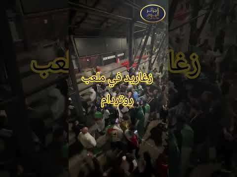 الجزائريون يحتفلون بالزغاريد في ملعب روتردام #اكسبلور #ترند #trend #explore #الجزائر