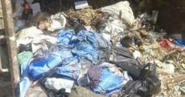 فاجعة العثور على أجنة بصندوق قمامة فى المنيا تفتح ملف النفايات الطبية.. كيف تحولت أمانة الطب لسموم بالقمامة وخطر بيولوجي يهدد حياة المئات؟.. قانون المخلفات يواجه الإهمال بالسجن المشدد وغرامات بالملايي