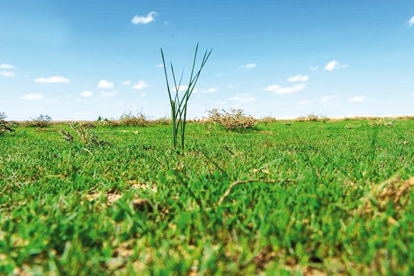 "أجواء ربيعية وطبيعة خلابة" تستقطب عشاق الرحلات البرية