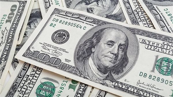 شعبة المستوردين: ارتفاع الدولار مؤقت ولا يبرر زيادة الأسعار