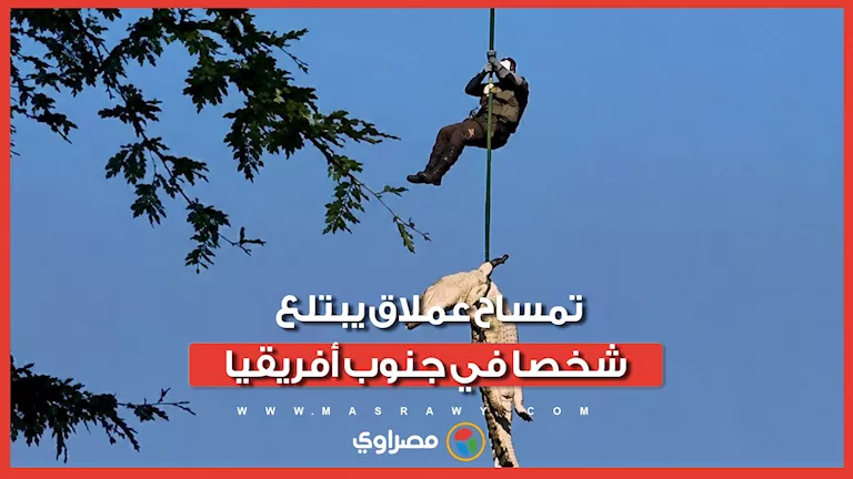 تمساح عملاق يبتلع رجل أعمال في جنوب أفريقيا.. وما عُثر عليه داخل أمعائ
