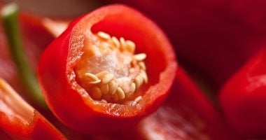 تناول الأطعمة الحارة يعزز عملية الأيض ويدعم حرق الدهون