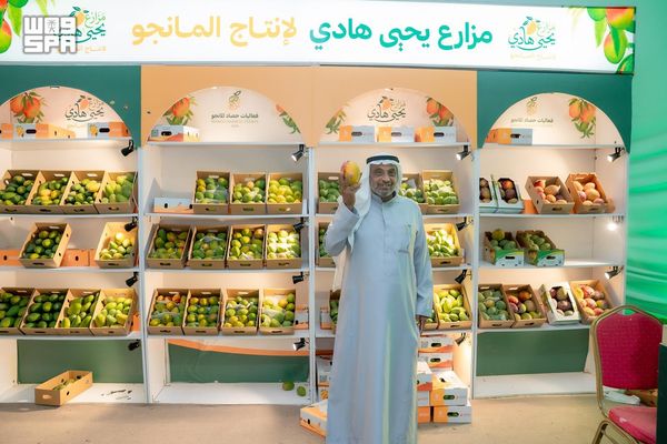 مواسم الفواكه الاستوائية تنشط السياحة الزراعية