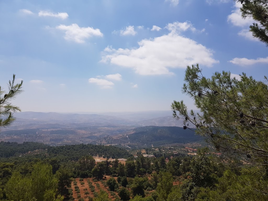 أجواء لطيفة في اغلب المناطق اليوم وغدًا