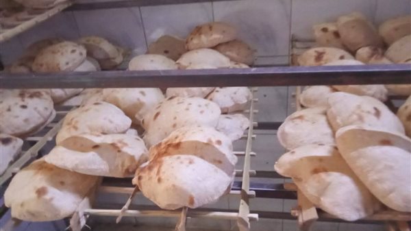 ما مصير الخبز المدعم بعد التحول للدعم النقدي؟ برلمان يجيب (فيديو)