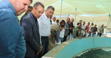 محافظ البحر الأحمر يتفقد مشروع وادى حوضين فى شلاتين