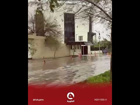 أمطار غزيرة تجتاح مدينة أربيل #قناة_الفلوجة #أخبار