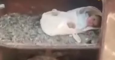 بالحبل السرى.. تفاصيل العثور على طفل وسط القمامة فى قرية بأوسيم