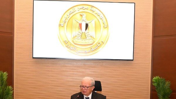 نائب رئيس الوزراء: الحكومة تقدم كافة التسهيلات لتوسع الاستثمارات الأجنبية في مصر.. ونواب: إقامة المشروعات الاستثمارية يسهم في زيادة مصادر العملة الأجنبية