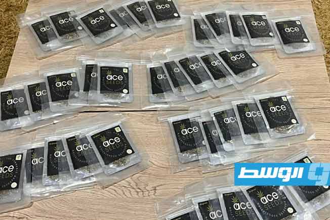 ضبط كمية من بذور الماريجوانا في كمين أمني بطبرق