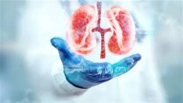 مرض الكلى يتسلل في صمت ولا تظهر أعراضه إلا متأخرًا (فيديو)