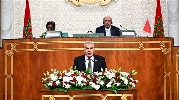 رئيس الشيوخ: مستعدون للتعاون مع البرلمانات الأفريقية لحماية مصالح قارتنا