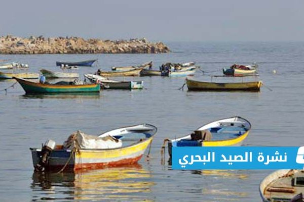 «الأرصاد»: ارتفاع الموج لن يتجاوز 1.25 متر على طول الساحل
