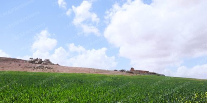 توقعات أحوال الطقس لليوم الثلاثاء