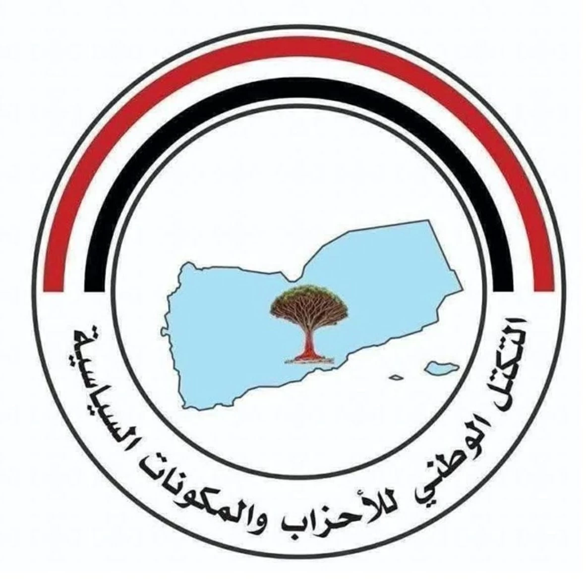 22 حزباً يمنياً ينددون باختراق الطائرة الإيرانية سيادة بلادهم
