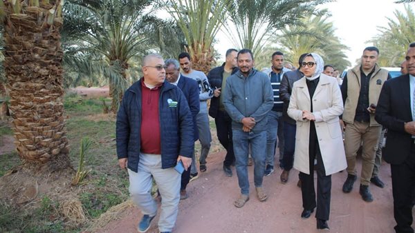 محافظ الوادي الجديد تتفقد مزرعة نخيل وإنتاج حيوانى على مساحة 228 فدانًا ببلاط