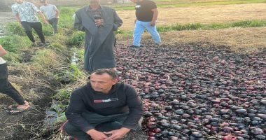 حريق ضخم يلتهم 15 فدان بصل فى إحدى قرى الدقهلية