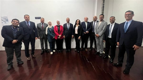 عبد العاطي: حريصون على تقديم أقصى درجات الرعاية والاهتمام للمصريين بالخارج