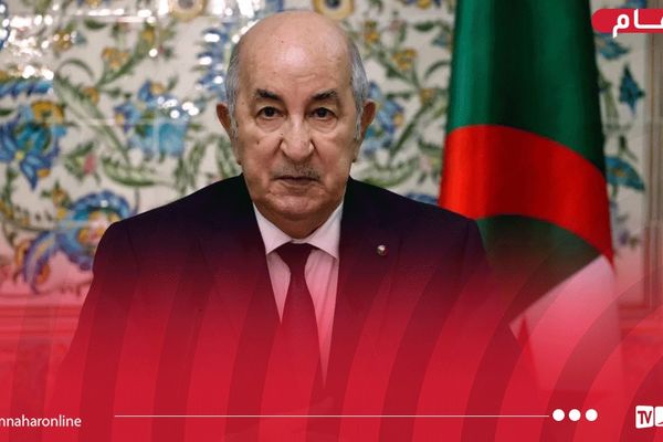 رئيس الجمهورية يُثمن إنجازات فترة الرئاسة الجزائرية للآلية الإفريقية للتقييم من قبل النظراء