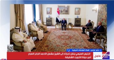 خبير: لقاء الرئيس السيسى بوزير خارجية الكويت يؤكد أن أمن مصر والخليج كل لا يتجزأ