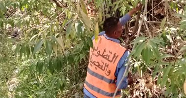 رفع كفاءة وتجميل ميادين ومداخل الإسماعيلية استعدادا لاستقبال عيد الأضحى