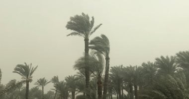 الأرصاد فى تحذير جديد: الأتربة تتدفق باتجاه الوجه البحرى والقاهرة الكبرى