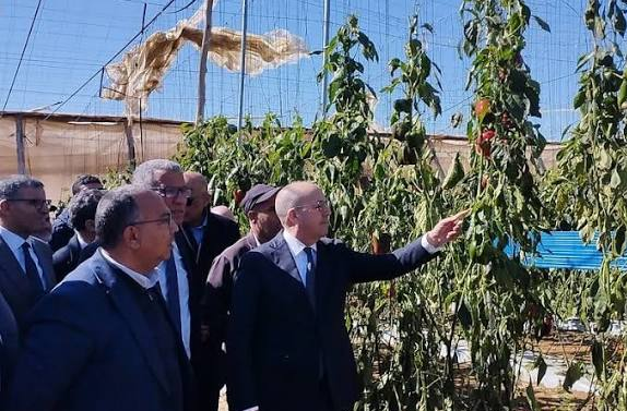 في زيارة ميدانية.. وزير الفلاحة يقيم الأضرار الناجمة عن الرياح القوية باشتوكة أيت باها