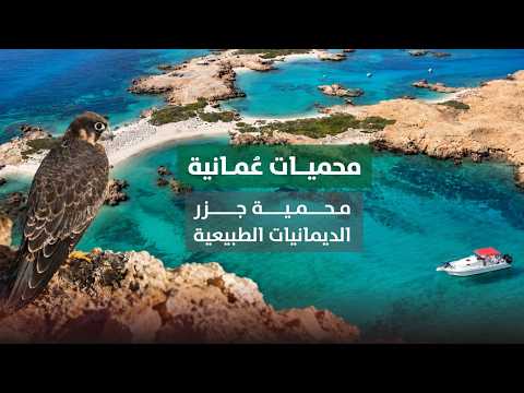 محميات عُمانية.. محمية جزر الديمانيات الطبيعية