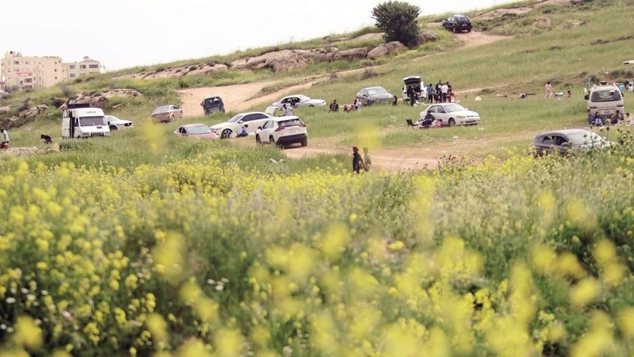 "سياحة الربيع".. فرصة لجذب الزوار العرب