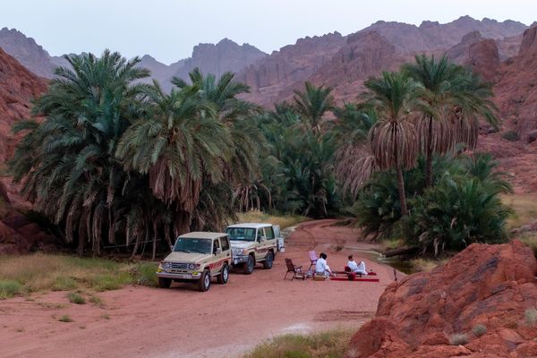 حائل.. حين يتجسّد الجمال في لوحة الطبيعة